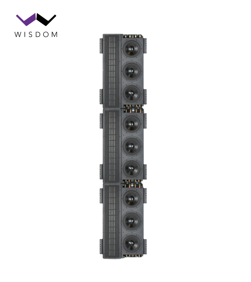 Wisdom Audio Line Sources